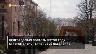 Белгородская область в этом году стремительно теряет своё население