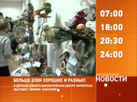 Смотрите на «Мире Белогорья» сегодня, 17 декабря