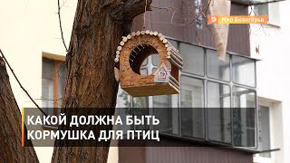 Какой должна быть кормушка для птиц