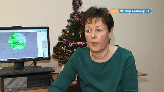 Будет ли снег в новогоднюю ночь