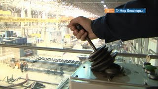 Где молодежи проще найти работу