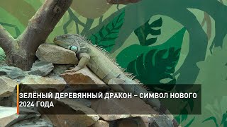 Зелёный деревянный дракон – символ Нового 2024 года