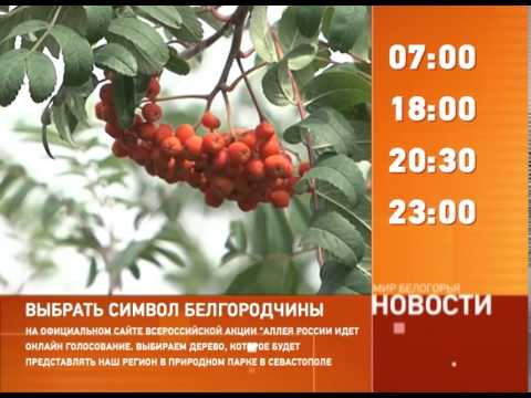 Смотрите на «Мире Белогорья» сегодня, 23 июля