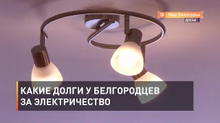 Какие долги у белгородцев за электричество 