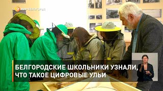 Белгородские школьники узнали, что такое цифровые ульи