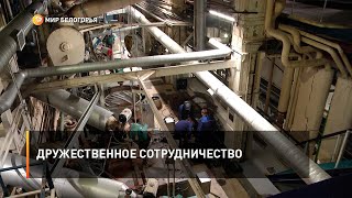 Дружественное сотрудничество