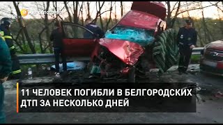 11 человек погибли в белгородских ДТП за несколько дней 