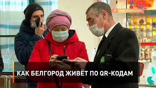 Как Белгород живёт по QR-кодам
