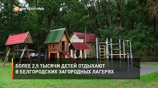 Более 2,5 тысячи детей отдыхают в белгородских загородных лагерях