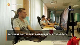 Россияне постепенно возвращаются с удалёнки