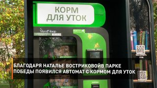 Благодаря Наталье Востриковой в парке Победы появился автомат с кормом для уток