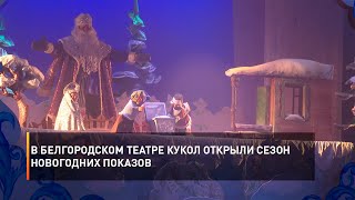 В Белгородском театре кукол открыли сезон новогодних показов