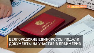Белгородские единороссы подали документы на участие в праймериз