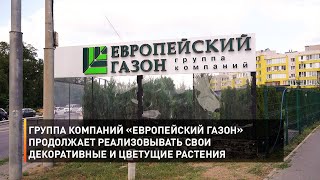 Группа компаний «Европейский газон» продолжает реализовывать свои декоративные и цветущие растения