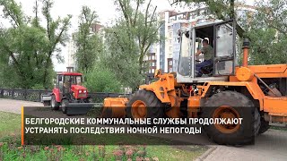 Белгородские коммунальные службы продолжают устранять последствия ночной непогоды