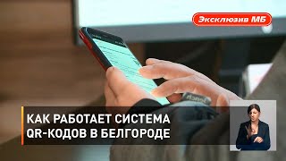 Как работает система QR-кодов в Белгороде 