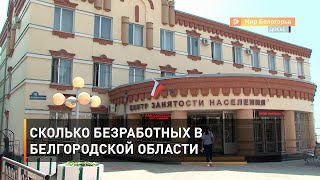Сколько безработных в Белгородской области