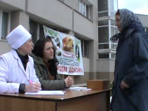 В Белгороде провели выставку бездомных собак