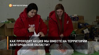 Как проходит акция МЫ ВМЕСТЕ на территории Белгородской области?