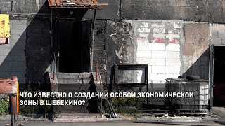 Что известно о создании особой экономической зоны в Шебекино?