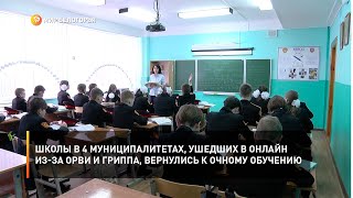 Школы в 4 муниципалитетах, ушедших в онлайн из-за ОРВИ и гриппа, вернулись к очному обучению