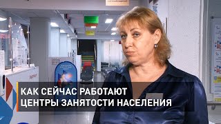 Как сейчас работают центры занятости населения 