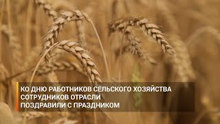 Ко дню работников сельского хозяйства сотрудников отрасли поздравили с праздником