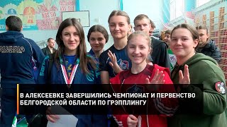 В Алексеевке завершились Чемпионат и Первенство Белгородской области по грэпплингу