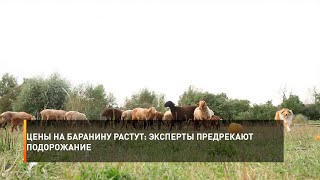 Цены на баранину растут: эксперты предрекают подорожание