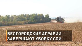 Белгородские аграрии завершают уборку сои