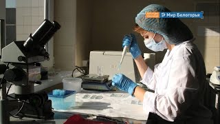 Каким будет белгородский НОЦ: спецрепортаж