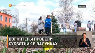 Волонтёры провели субботник в Валуйках 