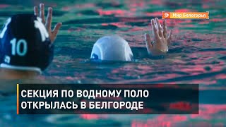 Секция по водному поло открылась в Белгороде