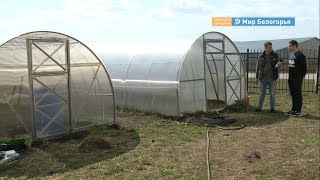 Форум рабочей молодежи впервые пройдет в Белгородской области