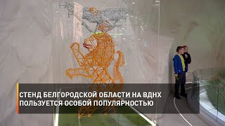 Стенд Белгородской области на ВДНХ пользуется особой популярностью