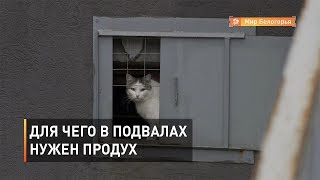 Для чего в подвалах нужен продух