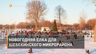 Новогодняя ёлка для шебекинского микрорайона