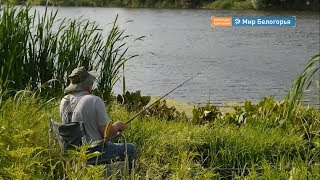 Секреты удачной рыбалки