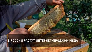 В России растут интернет-продажи мёда