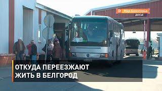 Откуда переезжают жить в Белгород 