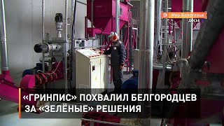 «Гринпис» похвалил белгородцев за «зелёные» решения
