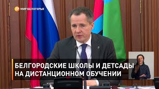 Белгородские школы и детсады на дистанционном обучении