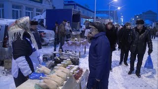 Сельскохозяйственная ярмарка в Новом Осколе