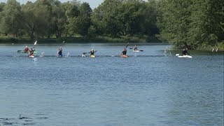 Белгородский чемпионат по гребле на байдарках и каноэ