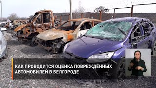 Как проводится оценка повреждённых автомобилей в Белгороде