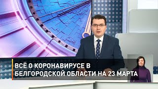 Всё о коронавирусе в Белгородской области на 23 марта