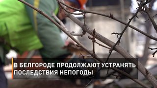 В Белгороде продолжают устранять последствия непогоды