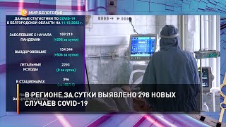 В регионе за сутки выявлено 298 новых случаев COVID-19