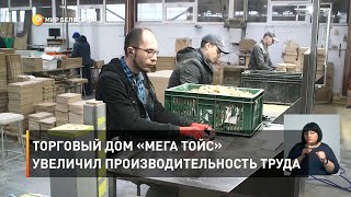 Торговый дом «Мега Тойс» увеличил производительность труда 