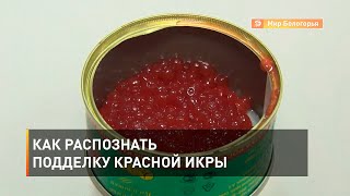 Как распознать подделку красной икры 